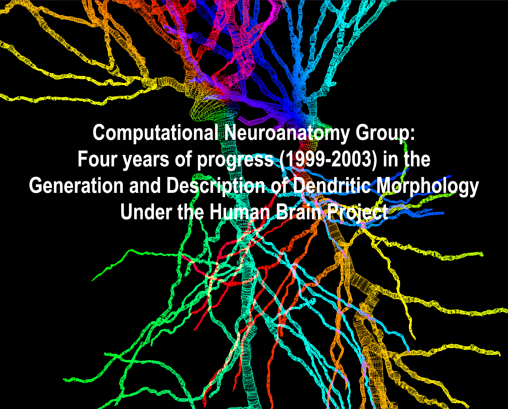 Computational Neuroanatomy Group: Generation and Description of Dendritic Morphology